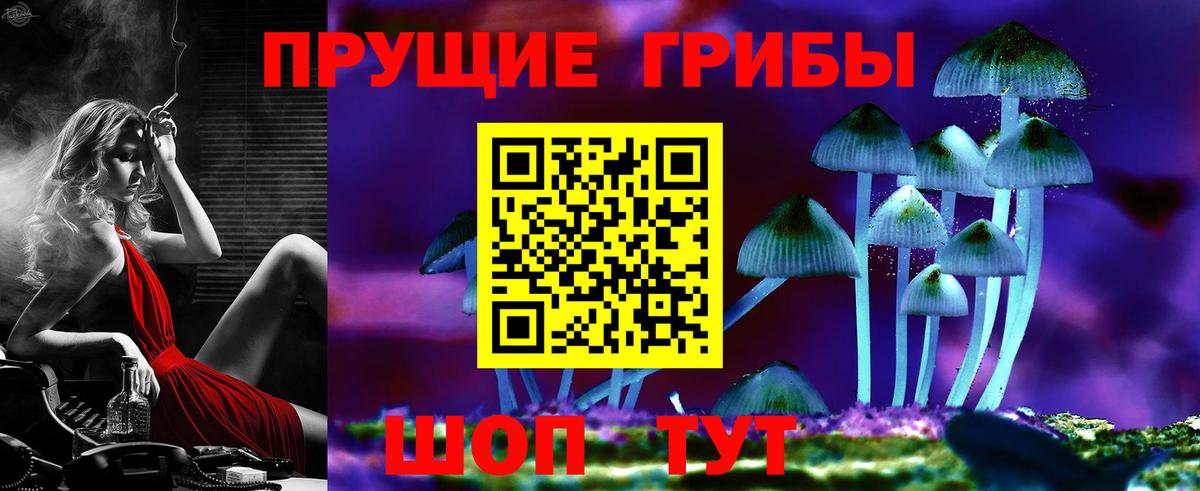 Галлюциногенные грибы Cubensis  Вход с VPN  Галлюциногенные грибы мицелий  Анжеро-Судженск 